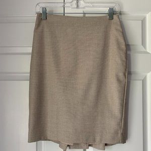 Ann Taylor Skirt